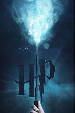 Póster Harry Potter – La...