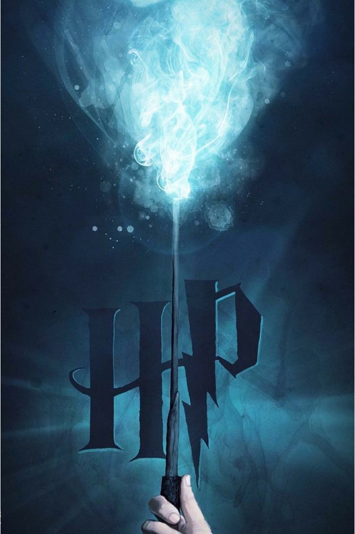 Póster Harry Potter – La Varita y la Magia
