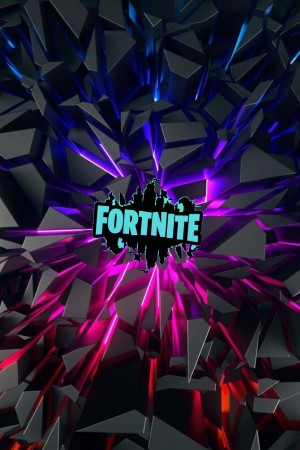 Mettaposter Fortnite Neon –...