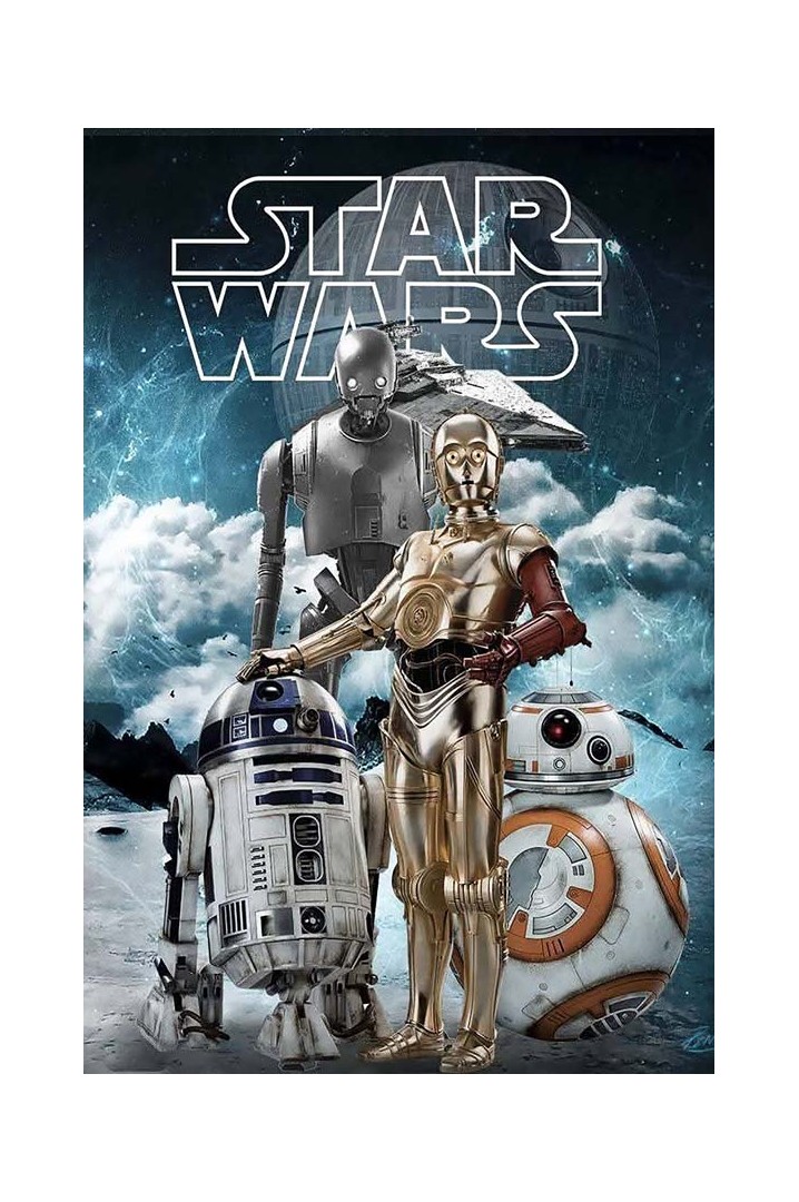 Mettaposter Star Wars Droid Collection – Póster...